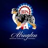 Abington Miniature American Shepherds (Mini Aussies) -Toy Aussies